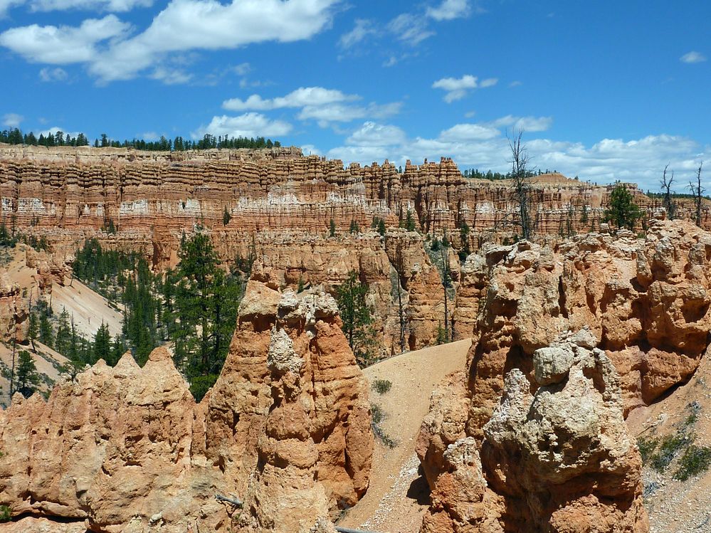bryce canyon (92).JPG